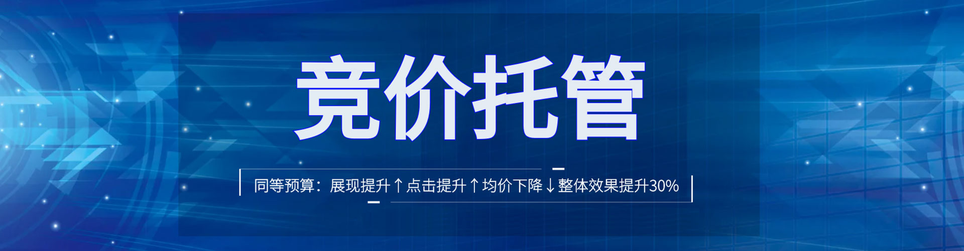 道里竞价广告